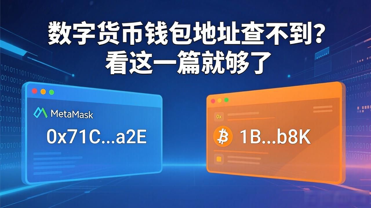数字货币钱包号查询_中心化交易所钱包地址查询_数字货币钱包地址查询方法